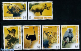 Cuba 2009 Zoology, Mammals 6v, Mint NH, Nature - Animals (others & Mixed) - Birds - Cat Family - Monkeys - Rhinoceros - Nuevos
