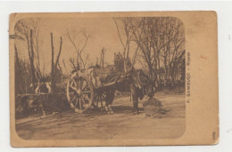 Carro Con Cavallo  " P. Sambuco, Riposo " - Viaggiata, Primo '900 ( 1390) - To Identify