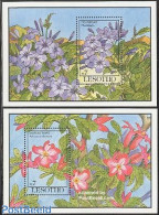 Lesotho 1993 Flowers 2 S/s, Mint NH, Nature - Flowers & Plants - Lesotho (1966-...)