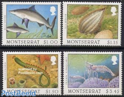 Montserrat 1996 Marine Life 4v, Mint NH, Nature - Fish - Sharks - Poissons