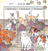 Micronesia 2000 Cats 6v M/s, Mint NH, Nature - Cats - Mikronesien