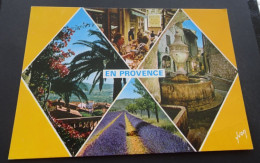 En Provence - La Côte D'Azur, Miracle De La Nature - Editions D'art Yvon - Provence-Alpes-Côte D'Azur