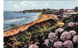 CPSM BIARRITZ - LES HORTENSIAS ET LA GRANDE PLAGE - Biarritz