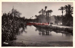 CPSM MAROC - PROMENADE DANS L'OASIS - Sonstige & Ohne Zuordnung