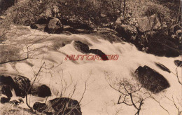 CPA FONTAINE DE VAUCLUSE - LA GRANDE CASCADE - Sonstige & Ohne Zuordnung