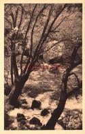 CPA FONTAINE DE VAUCLUSE - CASCADES ET ROCHERS - Sonstige & Ohne Zuordnung