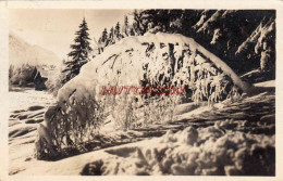 CPSM CHAMONIX - NEIGE FRAICHE - Chamonix-Mont-Blanc