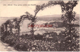 CPA NICE - VUE PRISE ENTRE LES FLEURS - Viste Panoramiche, Panorama