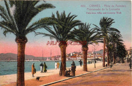 CPA CANNES - ALLEE DES PALMIERS - Cannes