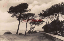 CPSM SAINT BREVIN L'OCEAN - LES PINS SUR LA DUNE - Other & Unclassified