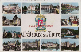 CPSM CHÃ‚TEAUX DE LA LOIRE - MULTIVUES - Other & Unclassified