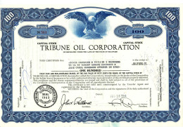 TRIBUNE OIL CORPORATION - Petróleo