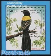 Congo Republic 1993 Brasiliana/birds S/s, Mint NH, Nature - Birds - Other & Unclassified