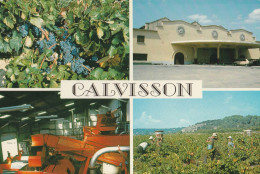 CPSM 30 CALVISSON  MULTIVUES  VENDANGES LA CAVE VIGNES - Otros & Sin Clasificación