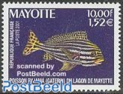 Mayotte 2001 Pyjama Fish 1v, Mint NH, Nature - Fish - Peces