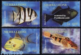 Sierra Leone 2004 Fish 4v, Banded Sculpin 4v, Mint NH, Nature - Fish - Pesci