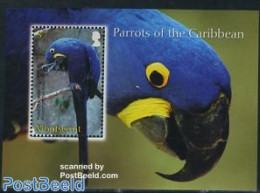 Montserrat 2007 Parrots S/s, Mint NH, Nature - Birds - Parrots - Other & Unclassified