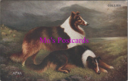 Animal Art Postcard - Two Collie Dogs   DZ336 - Cani