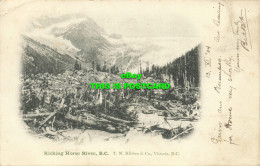 R589061 Kicking Horse River. B. C. T. N. Hibben. 1904 - Mondo