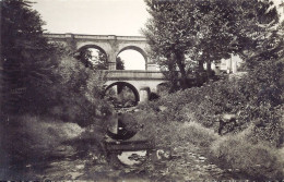 *CPA - 34 - LAMALOU Les BAINS - Le Pont Carrel - Lamalou Les Bains