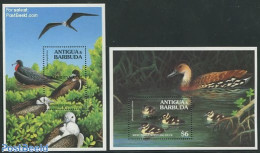 Barbuda 1996 Birds 2 S/s, Mint NH, Nature - Birds - Ducks - Barbuda (...-1981)