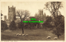 R589428 Ely Cathedral From South. 5837. Photochrom - Mondo