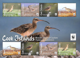 Cook Islands 2017 WWF, Birds M/s, Mint NH, Nature - Birds - World Wildlife Fund (WWF) - Otros & Sin Clasificación