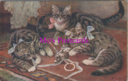 Animal Postcard - Catland, Three Cats Playing   DZ338 - Katten