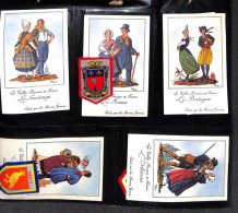 Lot De 38 Cartes + Blasons En Feutrine - Costumes