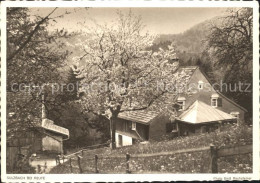 11837062 Sulzbach Uster Reute Haus  Sulzbach Uster - Other & Unclassified