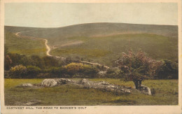 United Kingdom England Dartmeet Hill Badger's Holt - Sonstige & Ohne Zuordnung