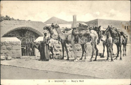 11835296 Nazareth Israel Mary's Well Kamel  - Israel