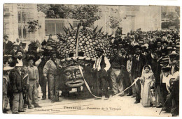 Tarascon- Procession De La Tarasque - Tarascon