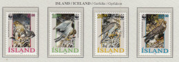 ICELAND 1992 WWF Birds Of Prey Mi 776-779 MNH(**) Fauna 813 - Eagles & Birds Of Prey