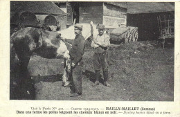 MAILLY MAILLET -DANS UNE FERME LES POILUS TEIGNENT LES CHEVAUX BLANCS EN NOIR - GUERRE 1914-1915 - Autres & Non Classés