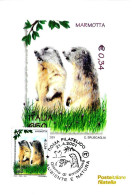 ITALIA ITALY - 2001 ROMA Ambiente E Natura: MARMOTTA Annullo Fdc Su Cartolina PT - 54 - Nager