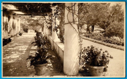 CPA CARTE-PHOTO 83 "Jardin Fleuri" à BOULOURIS Var - Boulouris