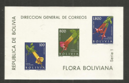 BOLIVIA HOJA BLOQUE YVERT NUM. 15 ** NUEVA SIN FIJASELLOS - Bolivia