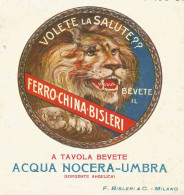 Ferro China Bisleri - Pubblicità D'epoca - Advertising - Publicités