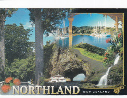 Northland, New Zealand  - Stamped Postcard   - L Size  - LS5 - Nuova Zelanda