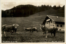 Abendfrieden Auf Der Alp - Oberstaufen-Steibis, Unterlauchalpe Am Hochgr - Oberstaufen