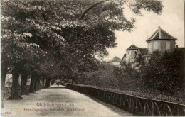 Mühlhausen - Hirschgraben - Mühlhausen