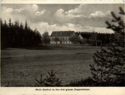 Bad Klosterlausnitz, Wald.Gasthof Zu Den Drei Grauen Ziegenböcken - Bad Klosterlausnitz