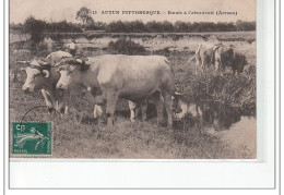 AUTUN - Autun Pittoresque - Boeufs à L'abreuvoir (arroux) - Très Bon état - Autun