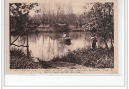 BALLANCOURT - Hôtel Du Petit Saussay - Dans Les Marais, Une Belle Pièce D'eau - Très Bon état - Ballancourt Sur Essonne