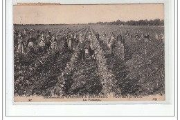 VOUVRAY : Les Vendanges - Très Bon état - Vouvray