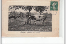 BERNAY - Pâturage Aux Ruinettes - VACHE - Très Bon état - Bernay