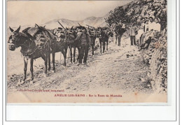 AMELIE LES BAINS - Sur La Route De Montalba - Très Bon état - Autres & Non Classés