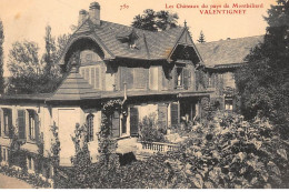VALENTIGNEY : Les Chateaux Du Pays De Montbeliard - Etat - Valentigney