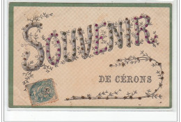 Souvenir De CERONS - Très Bon état - Other & Unclassified